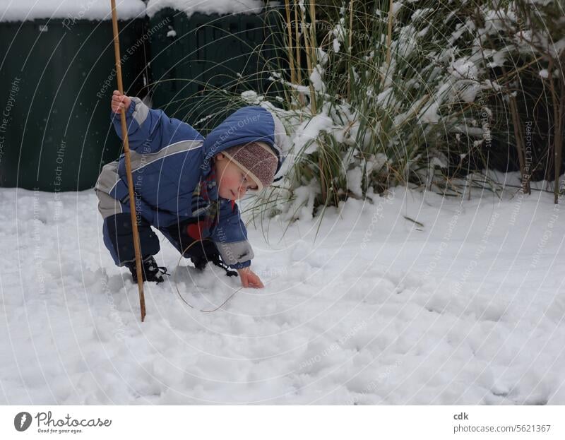 Merry Christmas! 🌟 Little Christmas elf checks the snow conditions! Child Toddler Garden Winter Snow Cold White Nature Infancy Weather Joy Frost Ice Playing