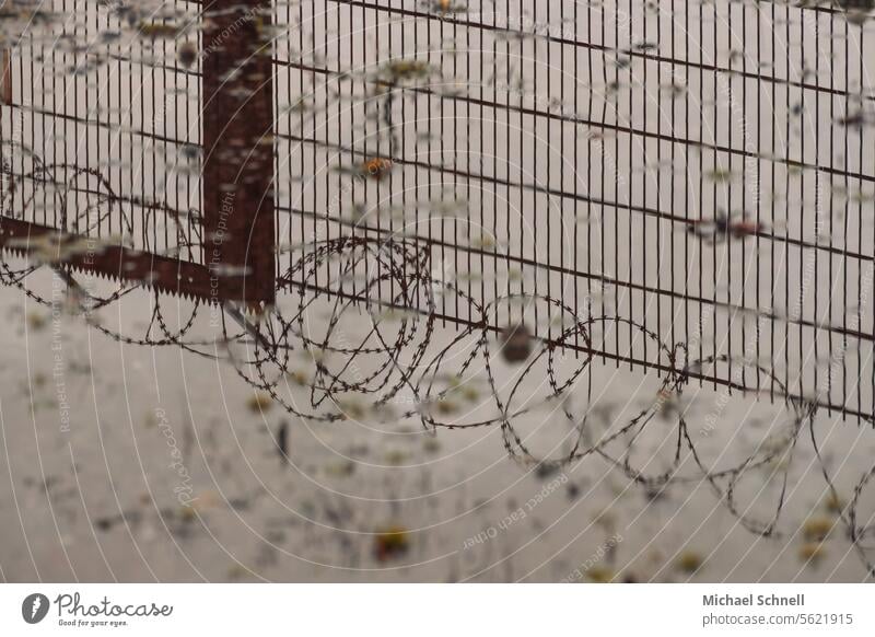 Fence and barbed wire (reflection in rain puddle) Barbed wire Barbed wire fence Border Barrier Threat Captured Safety Protection Dangerous Metal Wire Bondage