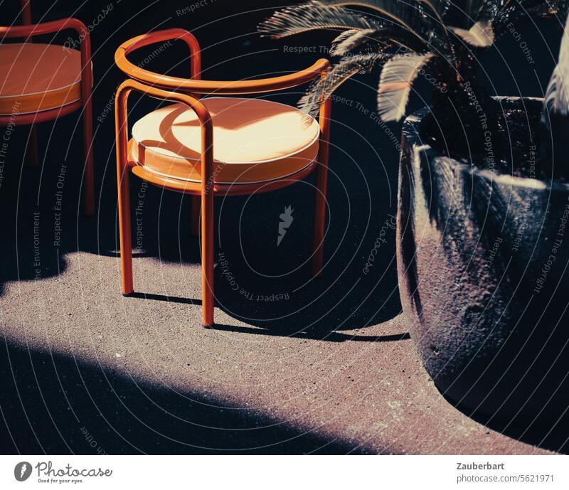 Garden chair from the 70s, tub and grazing light with shade Restaurant Seating Tub Terrace Gastronomy outdoor area Light Streak of light Shadow Sun Summer Sit