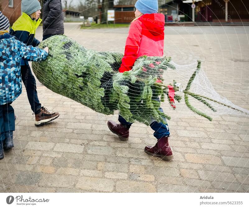 Oh Christmas tree | Buy Christmas tree Child Man Father Fir tree Shopping fir tree twigs Hide Christmas & Advent Tradition pre-Christmas period Anticipation