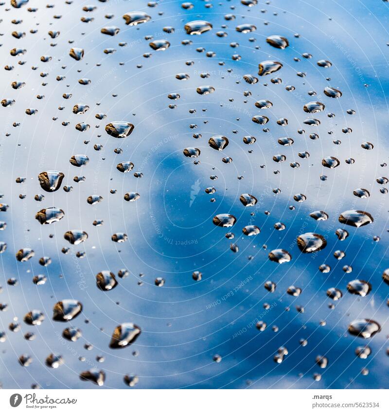 water drops Wet Close-up Drop Drops of water raindrops Detail Rain Reflection water pearls Surface Glittering Background picture Water roll off texture Fluid