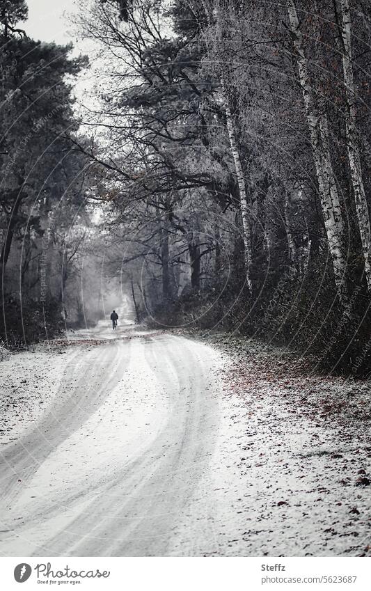 the long way home through the wintry forest Winter trail off cyclist ride a bike cycle In transit Snow Skid marks Traces of snow Tracks on one's own person