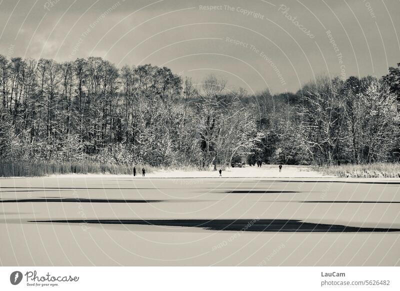 Winter at the lake Winter's day frozen lake Lake Snow layer snowy Winter mood snow-covered winter winter landscape Snowscape White Winter walk Landscape chill