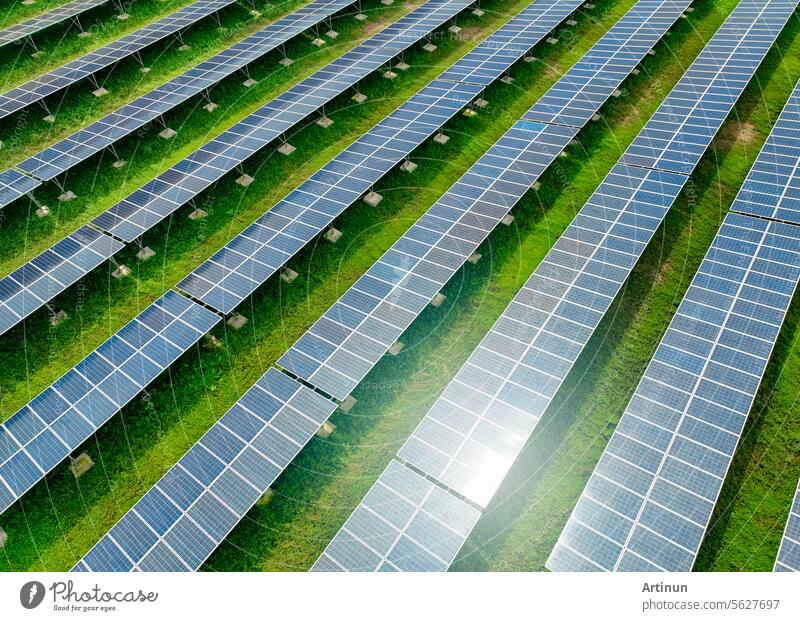 Solar farm and sun light. Solar power for green energy. Sustainable renewable energy. Photovoltaic power station or solar park. Solar panel installation and maintenance concept. Energy sustainability.