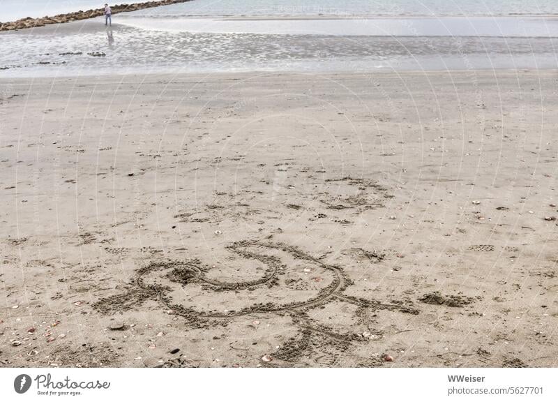 An empty beach in cloudy weather in fall with a duck drawn in the sand Beach Sand Duck Drawing Ocean Adriatic Sea Mediterranean sea Italy marina Ravenna Lake