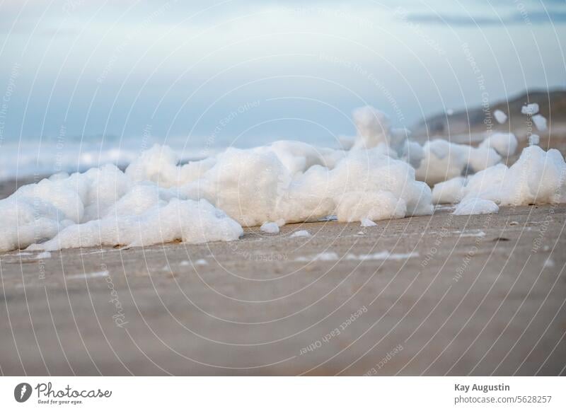 Beach magic Algae Foam algae North Sea beach Sand Exterior shot North Sea coast Nature Colour photo Island Landscape Vacation & Travel Ocean Foam mountains