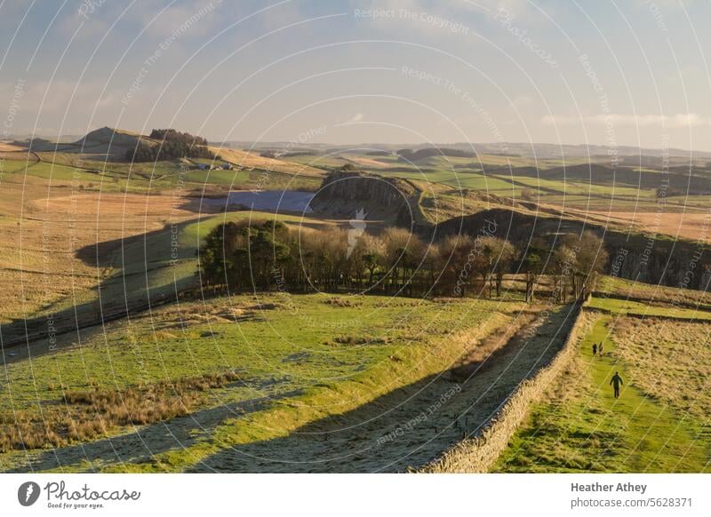 Frosty winter morning on the Hadrian's Wall trail in Northumberland UK northumberland England Winter Roman Wall (barrier) Historic Exterior shot Colour photo