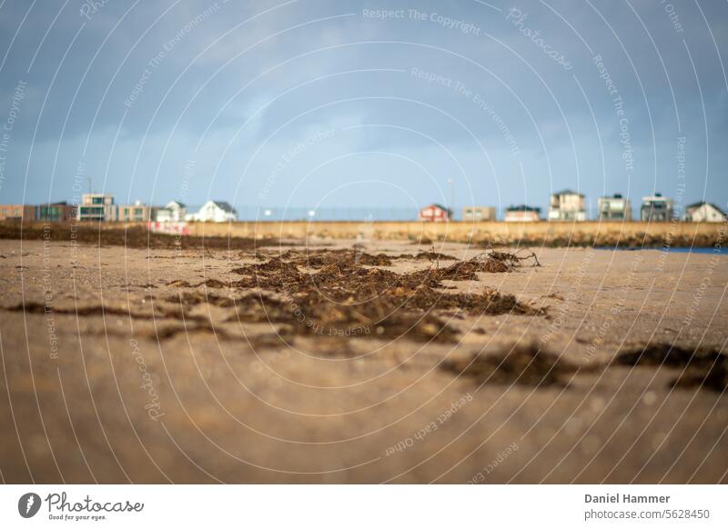 Baltic Sea beach in December, modern vacation homes in the background Baltic coast Ocean Beach Nature Vacation & Travel Landscape Water Relaxation Sky Tourism