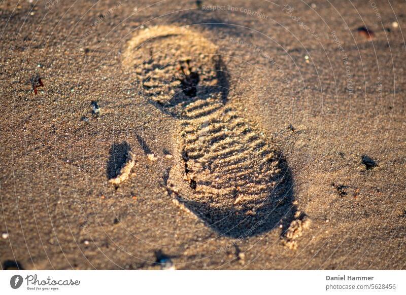 A fading whisper of life, quietly marching on. Baltic Sea Baltic coast baltic sea fjord Beach stones Nature Water Vacation & Travel Deserted Colour photo Sand