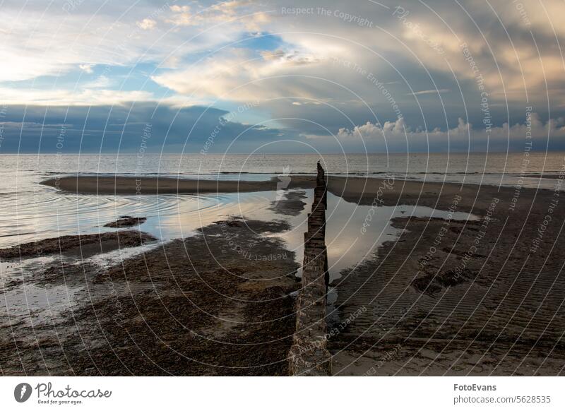 Breakwater on the Baltic Sea coast horizon wooden piles sand calm peaceful nature beauty background sea summer beach ocean wooden groyne outdoors freedom