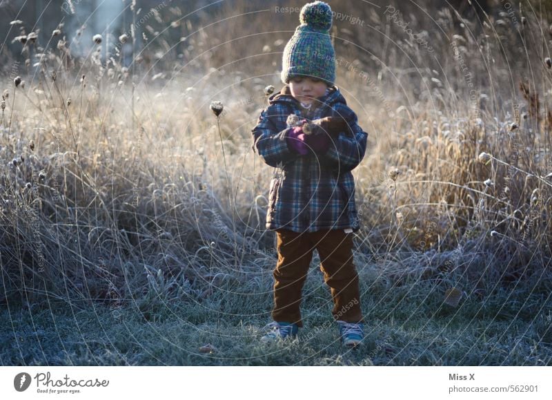 bouquet of hoarfrost Human being Masculine Feminine Child Toddler 1 1 - 3 years 3 - 8 years Infancy Winter Ice Frost Snow Flower Grass Meadow Cold Emotions