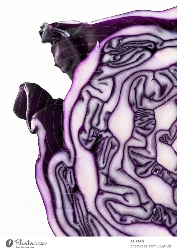 red cabbage Red cabbage Cross-section dark red Violet White structure Fresh salubriously boil Kitchen recipe Food Vegetable Nutrition Vegetarian diet