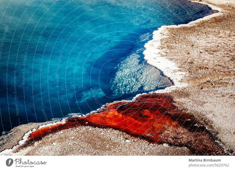 Vivid colors of the Black Pool in the Yellowstone National Park, Wyoming colorful abstract black pool yellowstone wyoming water steam geothermal caldera hot