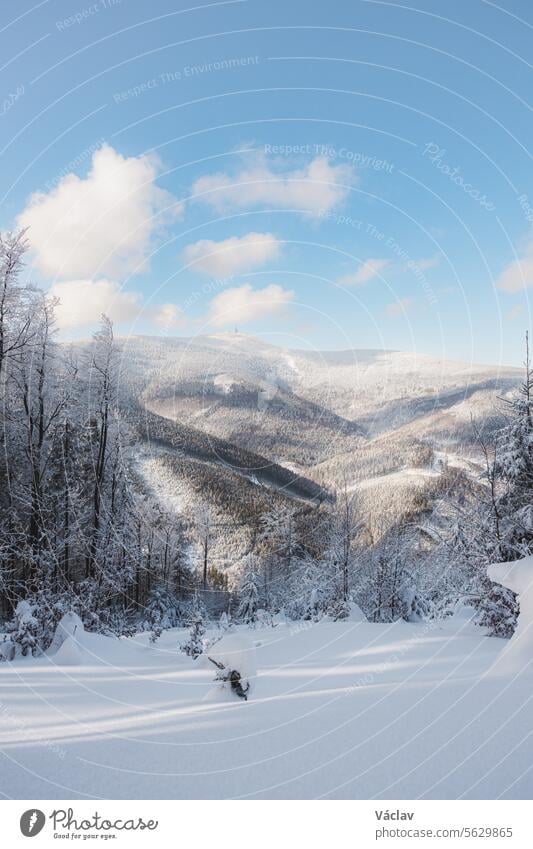 Winter scenery with sun rays reflecting off the glittering snow. Sunrise in a snowy wilderness and woodland. Beskydy mountains, Czech Republic winter scene