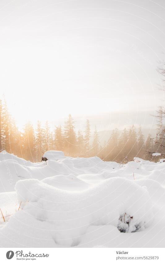 Foggy morning in a snowy landscape in Visalaje, Beskydy mountains in the eastern part of the Czech Republic. White fairy tale in winter months during sunrise