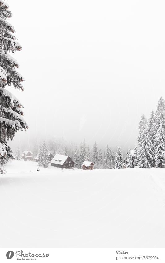 Foggy morning in a snowy landscape in Visalaje, Beskydy mountains in the eastern part of the Czech Republic. White fairy tale in winter months moody