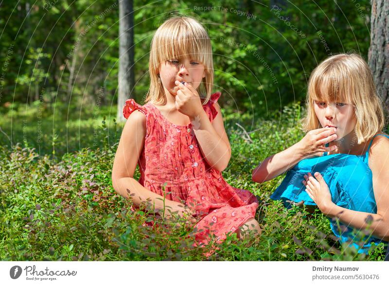 Children picking berries in a summer forest berry bilberry blueberry bog bilberry caucasian cheerful child childhood children crop day delicious dress eat