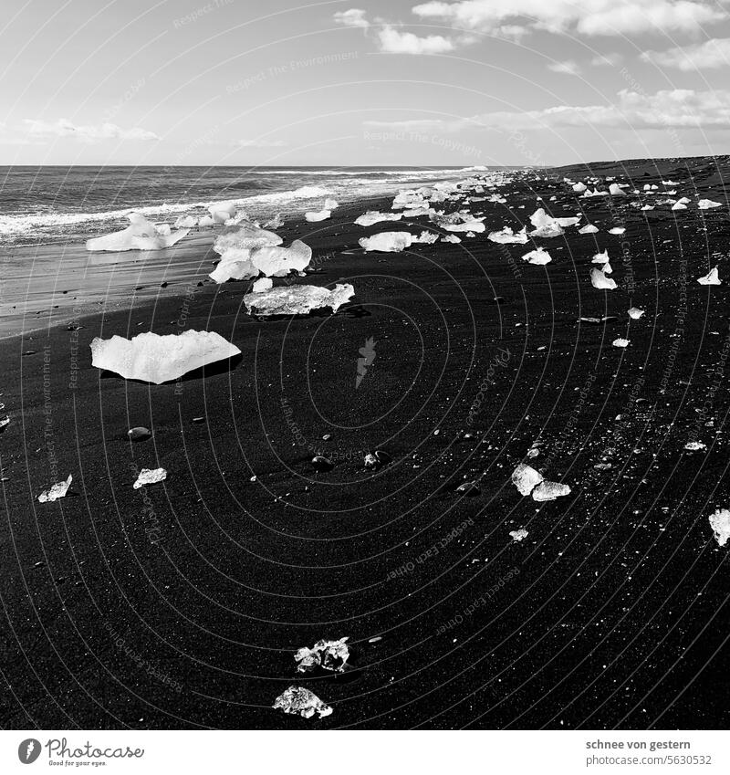 Ice on a black beach Nature coast Landscape Iceberg Colour photo Climate Ocean Jökulsárlon Beach Water Exterior shot Environment Vacation & Travel Deserted