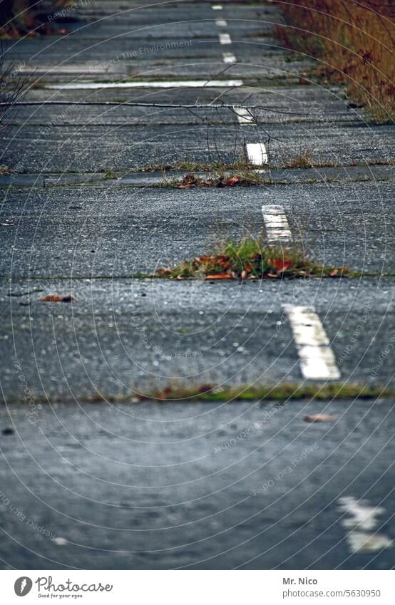 dashed line Street Traffic infrastructure Asphalt dotted line Gray Lanes & trails Country road mark Center line Lane markings Traffic lane Roadside Weed