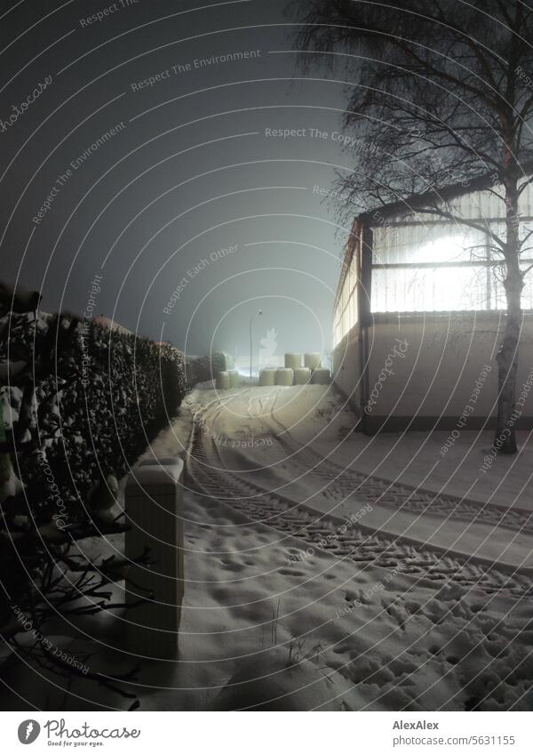 Hedge, electricity box, birch tree and indoor riding arena illuminated from the inside in winter with snow at night Night Dark somber Sky Night sky Light