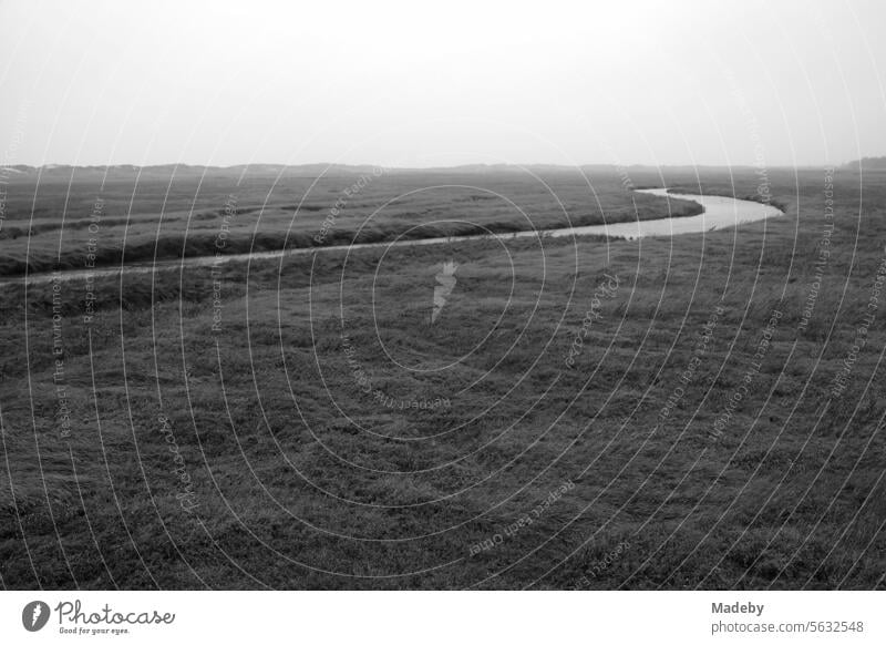 View from the pier to the beach of St. Peter-Ording of the salt marshes and the nature reserve in rainy weather in the district of Nordfriesland in Schleswig-Holstein in the fall on the North Sea coast in neo-realistic black and white