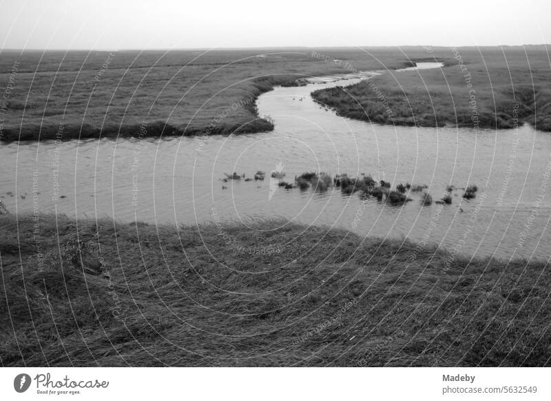 View from the pier to the beach of St. Peter-Ording of the salt marshes and the nature reserve in rainy weather in the district of Nordfriesland in Schleswig-Holstein in the fall on the North Sea coast in neo-realistic black and white