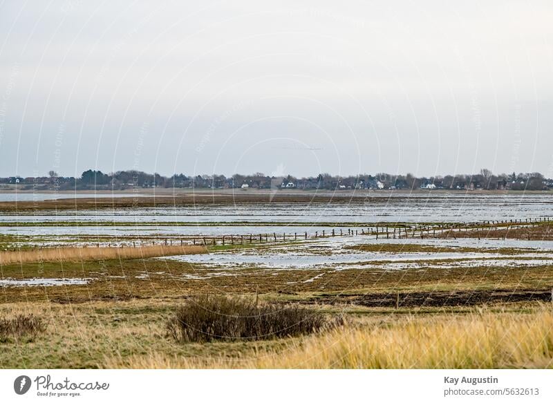 Storm "Zoltan" deep in the storm Deep Flood Ocean Weather coast Bad weather Landscape Exterior shot Colour photo Environment Gale Nature Clouds Water