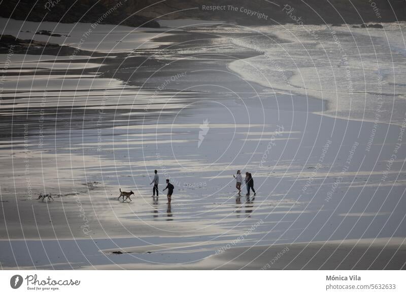 Tourists walking on Caión beach. Laracha, A Coruña tourists Caion beach tourism Beach To go for a walk Ocean Walk on the beach Sand Vacation & Travel