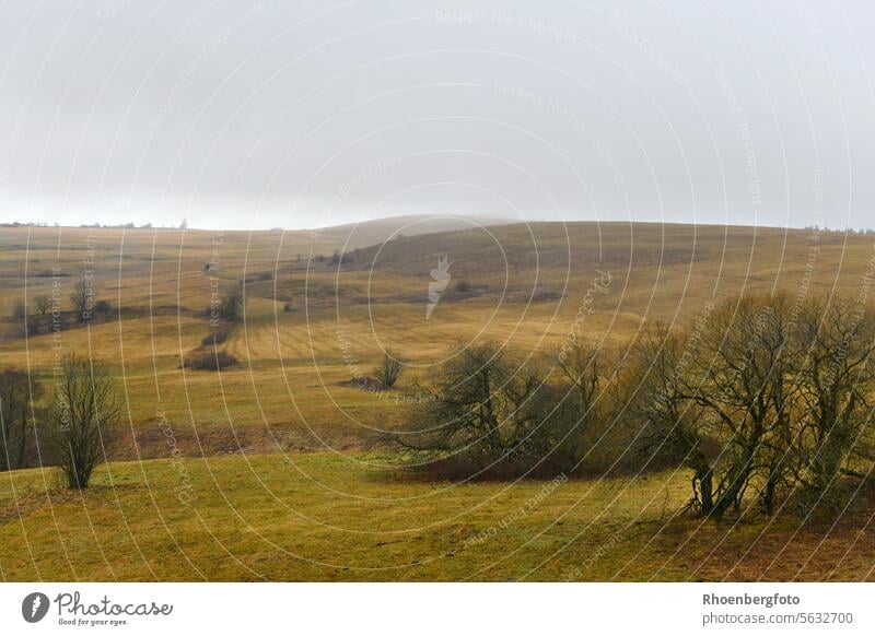 The Wasserkuppe disappears in gray fog, the radome is barely visible. Radome mountain Tall highest mountain in the Rhön Hesse elevation Brown Yellow Colour tone