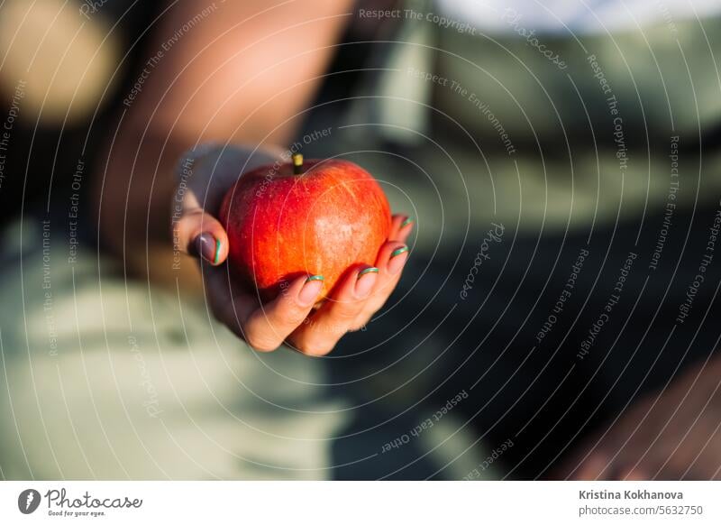 Woman gardener offers red apple. Lady holding in hand ripe fruit. Harvest. High quality photo background symbol woman beauty celebration female girl color