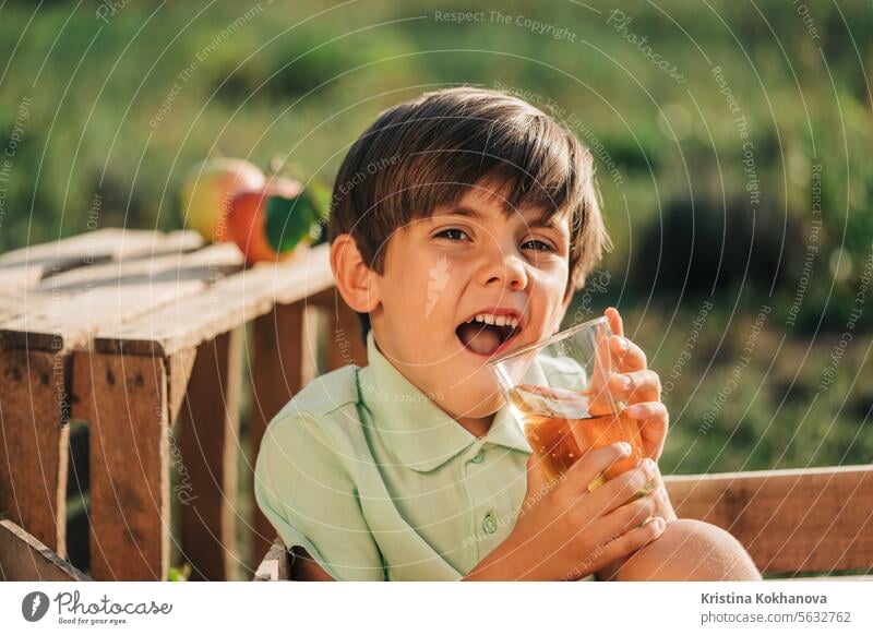 Cute little toddler boy drinking apple juice. Child in wooden box in orchard. apples background blended bottle boy kids cheerful child childhood cocktail