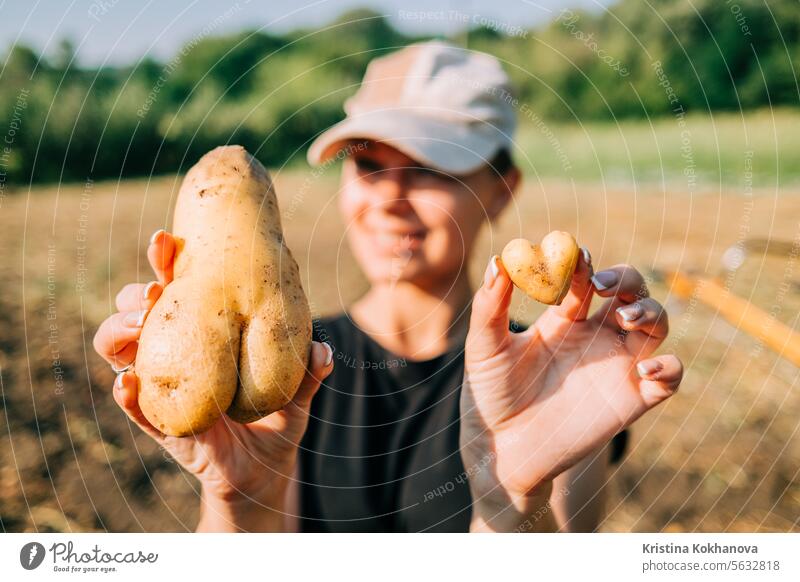 Woman picks heart shaped potatoes. Healthy product,vitamins. Harvest, hand labor appetizing background bacon baked brown champignon closeup cooked cuisine dark