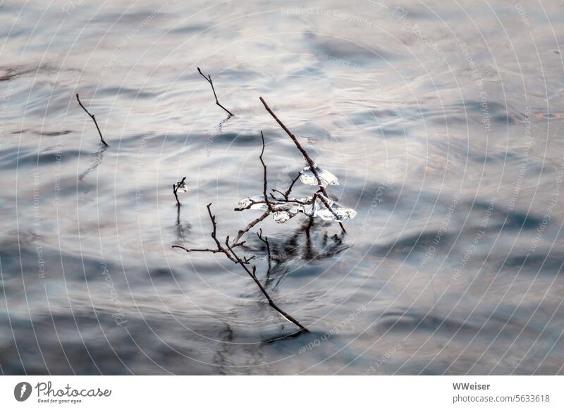 Small twigs with pieces of ice stick out of the cold water of the river Water River Stream Freeze Cold Winter Frost Ice ice floes Surface chill Flow Movement