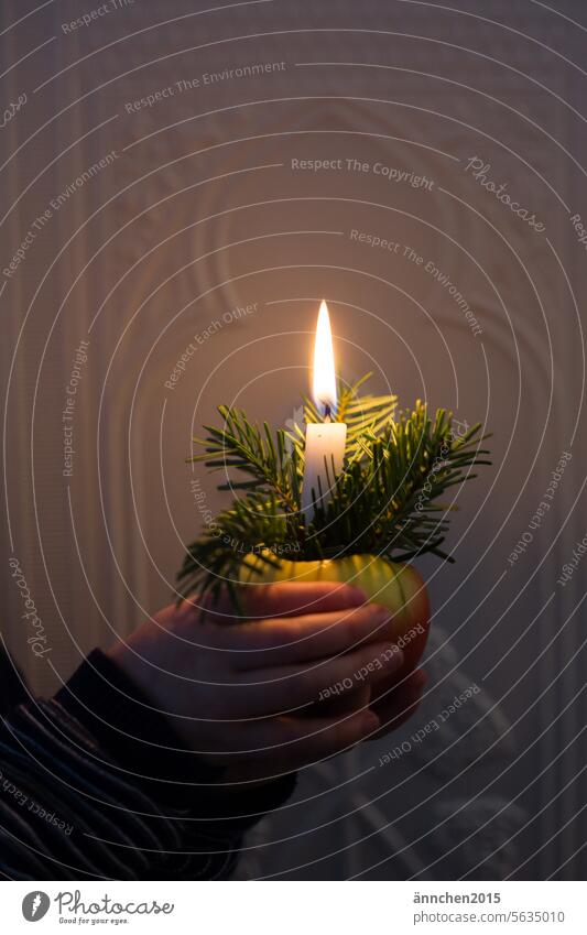 an apple light is held by two hands Apple light Christmas celebrations shoulder stand Festive fir green Decoration Christmas & Advent Feasts & Celebrations