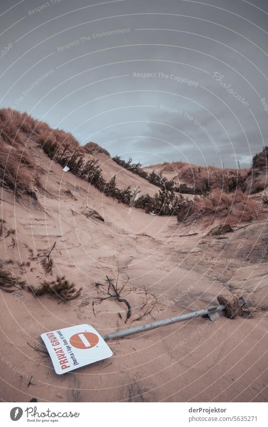 Torn out prohibition sign in a dune in Denmark relaxation relax & recuperate" Recreation area bathe Freedom vacation Vacation mood Exterior shot Ocean