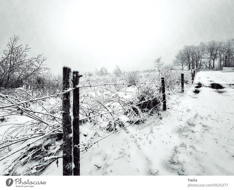 Barb wire fence line in winter snow Winter cold barb wire white exterior