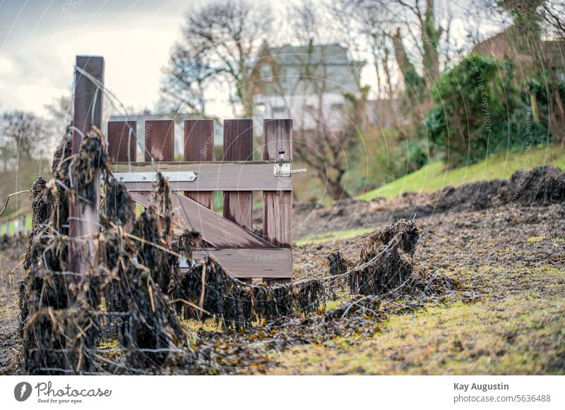 By the wayside Storm surges Tang Driftwood plants hiking trail Decomposable driftwood ecology rinsing seam Reed plants Flushing plants Fence reed