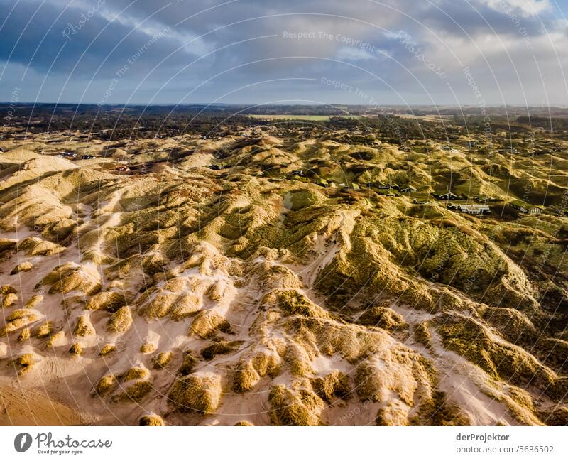 Dunes in the sunlight in Denmark III relaxation relax & recuperate" Recreation area bathe Freedom vacation Vacation mood Exterior shot Ocean Colour photo