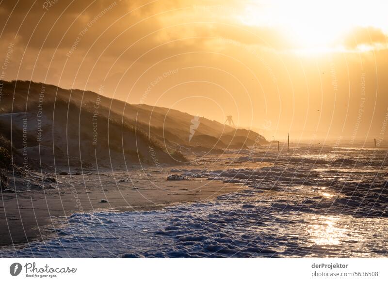 Dunes and beach against the light relaxation relax & recuperate" Recreation area bathe Freedom vacation Vacation mood Exterior shot Ocean Colour photo