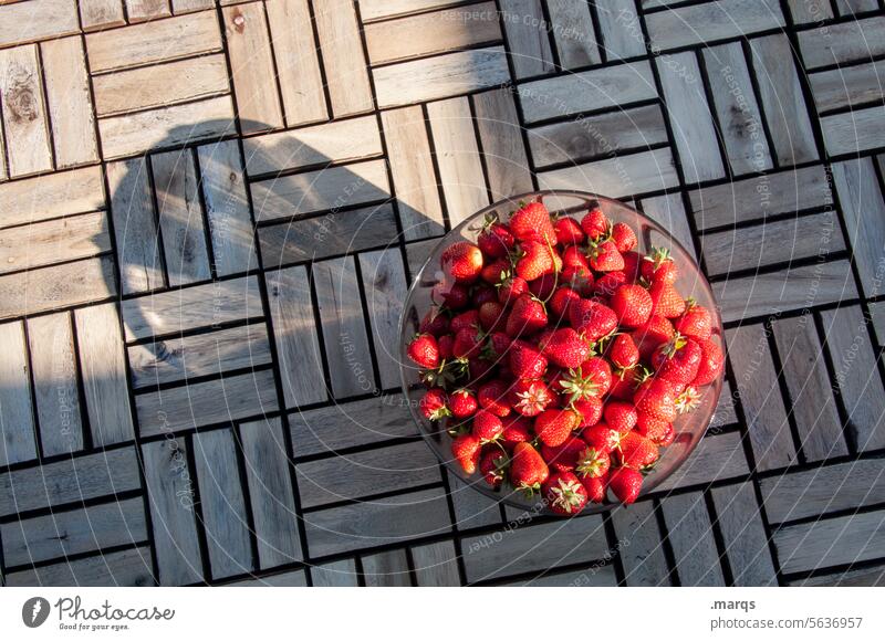 strawberries Food Bowl Summer Fruit Strawberry Bird's-eye view Healthy Eating Organic produce Nutrition Picked harvest season Strawberry harvest plan Dessert