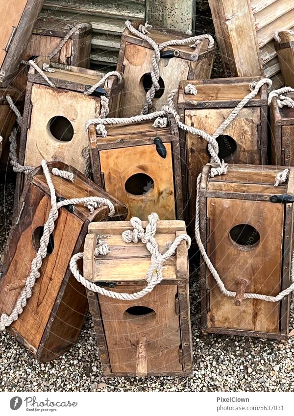 Birdhouses aviary Nature Garden Exterior shot bird house Feed Love of animals birds Seasons Environment Feeding