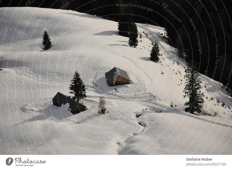 View of a snow-covered hut in the mountains Snowscape Winter Mountain Alps Hut Exterior shot Winter vacation Vacation & Travel Cold Deserted