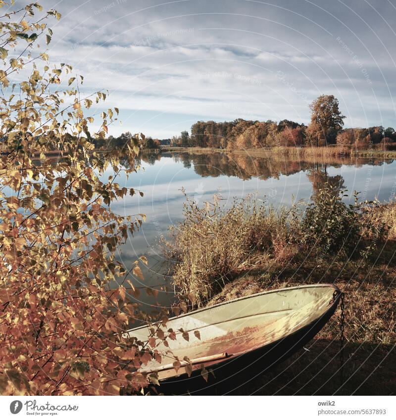 berth Motor barge Fishing boat Rowboat Lakeside Bushes Grass Plant Autumn Peaceful out trees tranquillity Mysterious windless wide Calm Bright Long shot