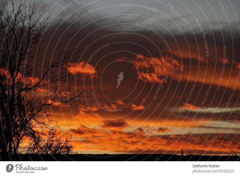 Intense sunset over the Rottal in winter Sunset Sky Clouds Evening Twilight Exterior shot Landscape Deserted Nature Contrast