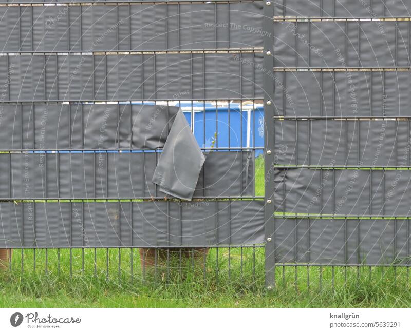 swimming pool Garden Fence Screening Meadow Lawn Green Exterior shot Summer Colour photo Deserted Day Grass Beautiful weather demarcation Metalware Broken