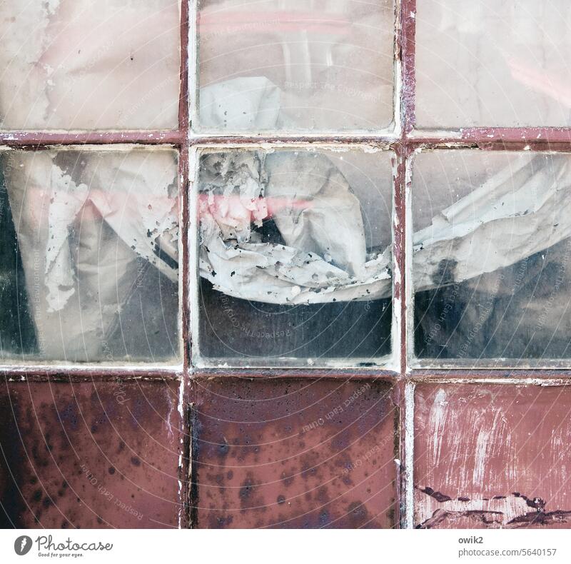 Side effect Garage Factory site Window Close-up Detail Structures and shapes Retro Old Ravages of time Trashy Decline Transience Dirty Abstract Colour photo