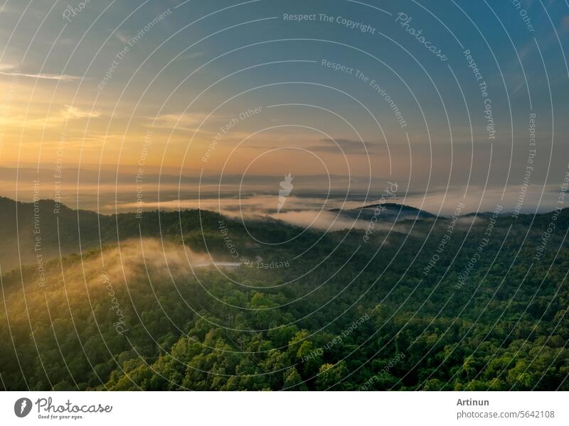 Beautiful green mountain landscape with morning sunrise sky and fog. Aerial view of green trees in tropical mountain forests and fog in winter. Nature scene of trees. Green environment background.