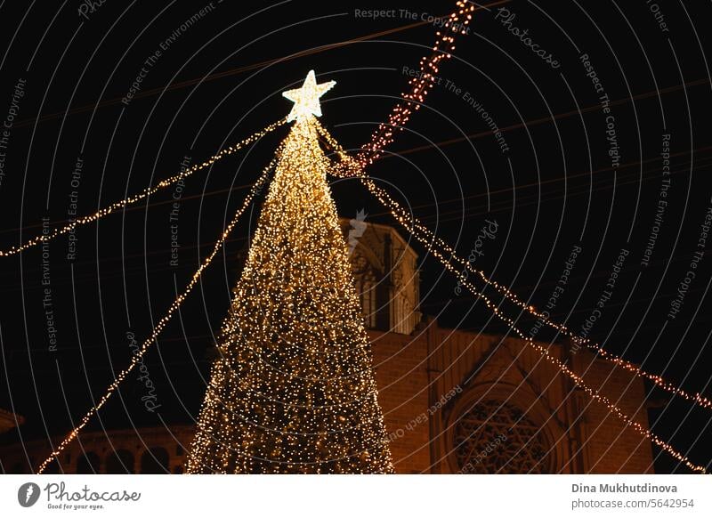 Christmas tree lights festive decoration in main square of city. Lighting and celebration of a holiday. clearer bokeh Tree Public Holiday Illumination Festive