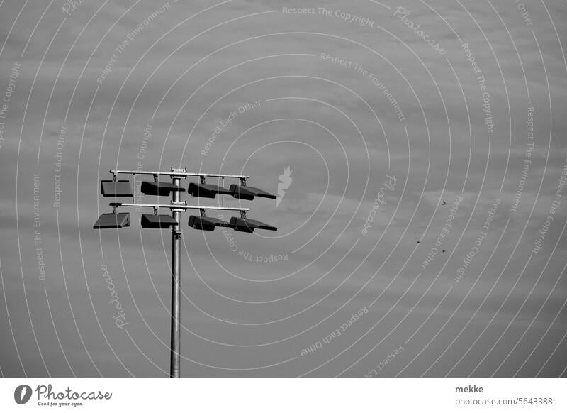 dull floodlight Floodlight Lighting Stadium Lamp Sporting Complex Artificial light Clouds Sky Football pitch Football stadium Night Bright Stands Sporting event