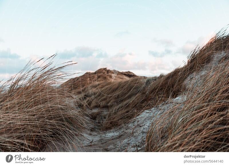 Dunes with clouds in Denmark III relaxation relax & recuperate" Recreation area bathe Freedom vacation Vacation mood Exterior shot Ocean Colour photo Relaxation